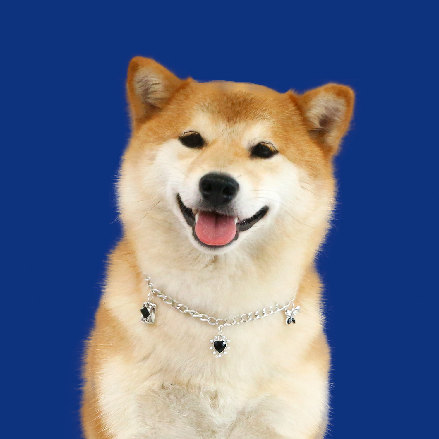 Comercio exterior mascotas collar de metal gemas amor arco colgante de zircon viento dulce gato perro collar de plata