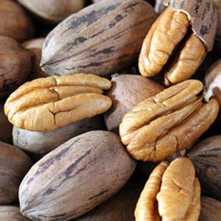 ԭζ���������̸��������L�۹��ɹ�ɽ���҈Թ��Ԯa���N�Sһ�����l