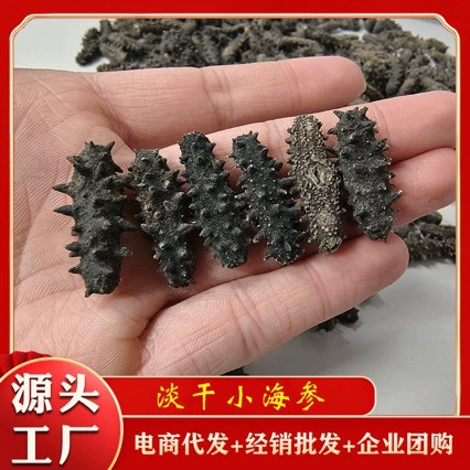 Оптовый источник сушеных морских огурцов, специальная цена на маленькие сушеные морские огурцы, сушеные морские огурцы, подарочные коробки с не готовыми к употреблению морскими огурцами, прямая трансляция, дропшиппинг