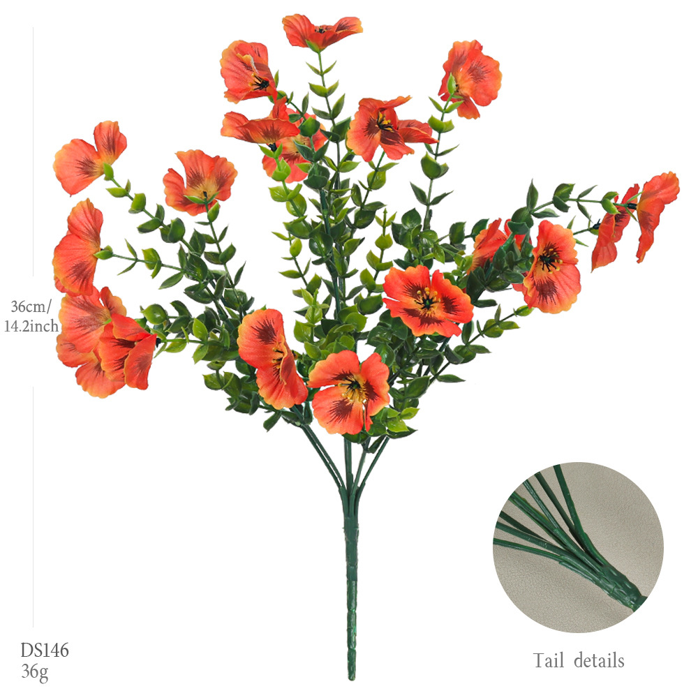 DS146-선셋 레드 스프링 팬지