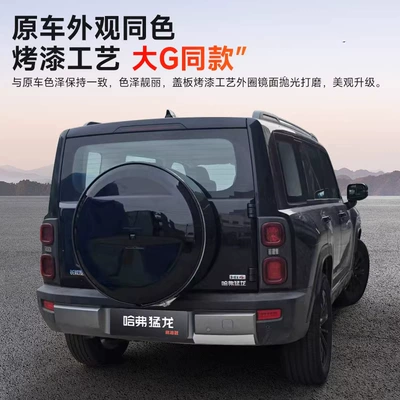 for 25 Models of Haval Raptor: Spare wheel cover