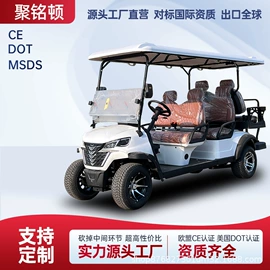 电动观光车;高尔夫球车