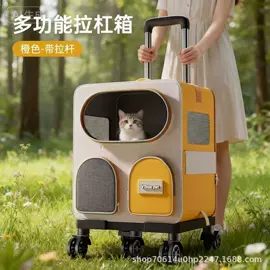 猫猫包、箱