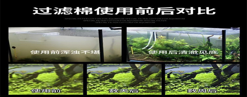 e14b86a24ed616ebd7d0f8821666b3