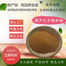 葫芦巴籽提取物  水溶葫芦巴籽粉 葫芦巴子提取物 现货供应 源厂