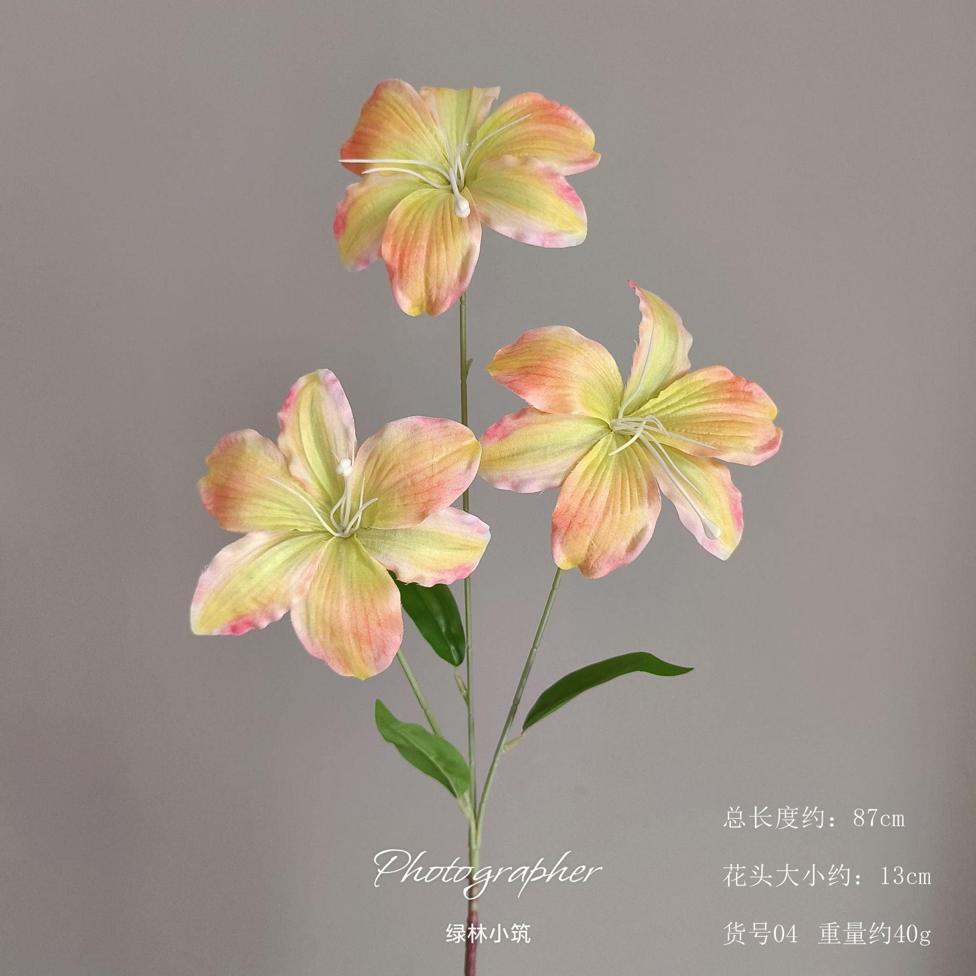 품목번호 04-Hemerocallis lily