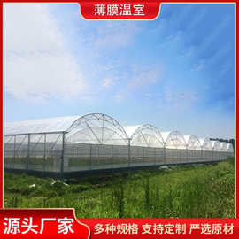 塑料薄膜温室大棚 连栋大棚 遮阳农用连栋薄膜大棚 温室大棚