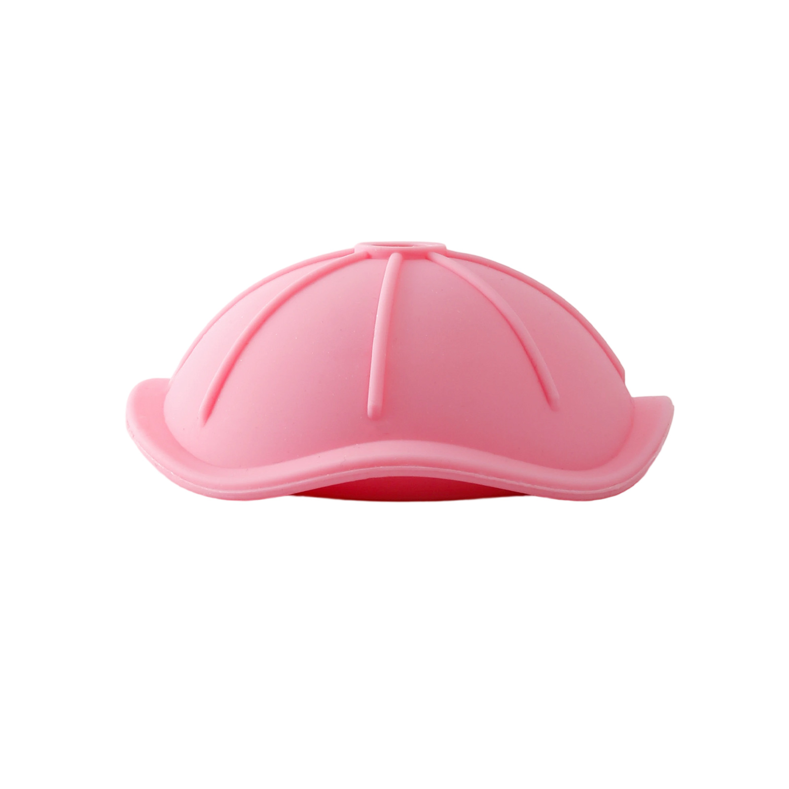Tortuga Cap-Polvo