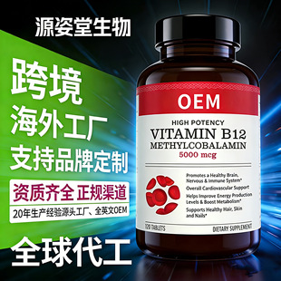 ���ƿ羳���������⒰��S����b1b12�~��ܛ�z��ȫ������ȫӢ��OEM