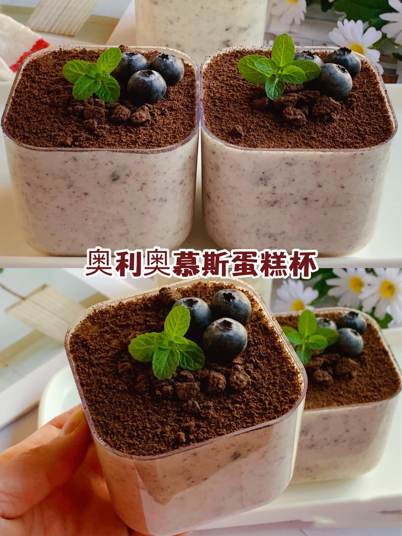 XHS_1655093466006fa1ebce6-1200