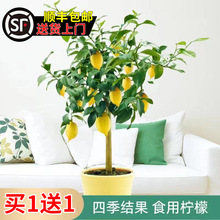 ļˮʘ烞˼tˮͥԺNֲY