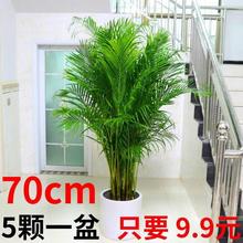 ɢβ�����ԾGֲ�����Pβ���҃ȿ͏d���͸��FҬ��������ֲ��������