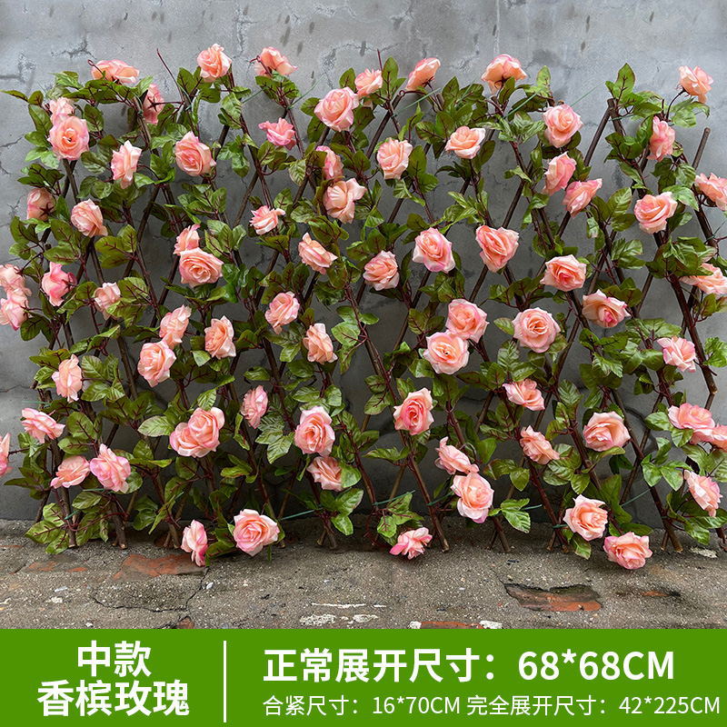 바이올렛 0.7m 샴페인 암호화 로즈