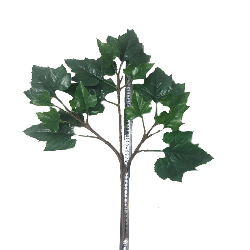 XRB-267 梧桐叶三叉枝 (3).jpg