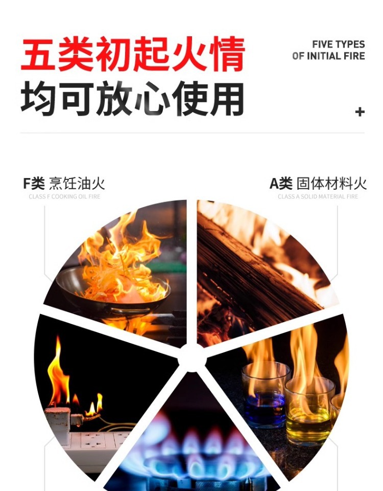Laiben 21B Dry Powder Vehicle Fire Extinguisher New National Standard Annual Inspection Vehicle-Mounted Household Portable Small Fire-Fighting Equipment