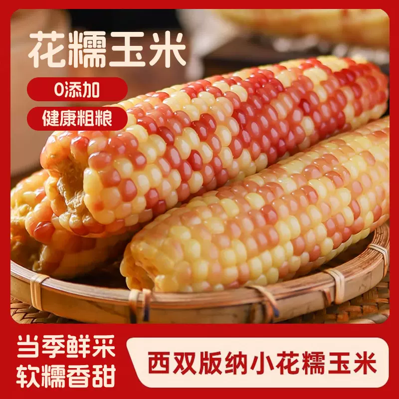 云南花糯玉米西双版纳香糯小玉米产地直发即食真空包装锁鲜糯香
