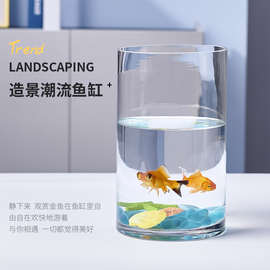 超白加厚大小号玻璃圆柱鱼缸客厅家用落地花瓶圆形圆柱形水培杨青