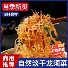 新鲜龙须菜半干货500克每袋鹿角菜海发菜非石花菜凉拌菜食材商用