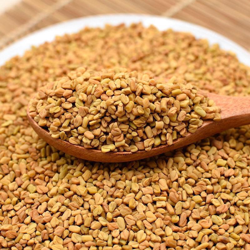 Fenugreek Seeds Hu Lu Ba 500g Dried Trigonella foenum-graecum Traditional Chinese Herb for Decoction and Culinary Use in use