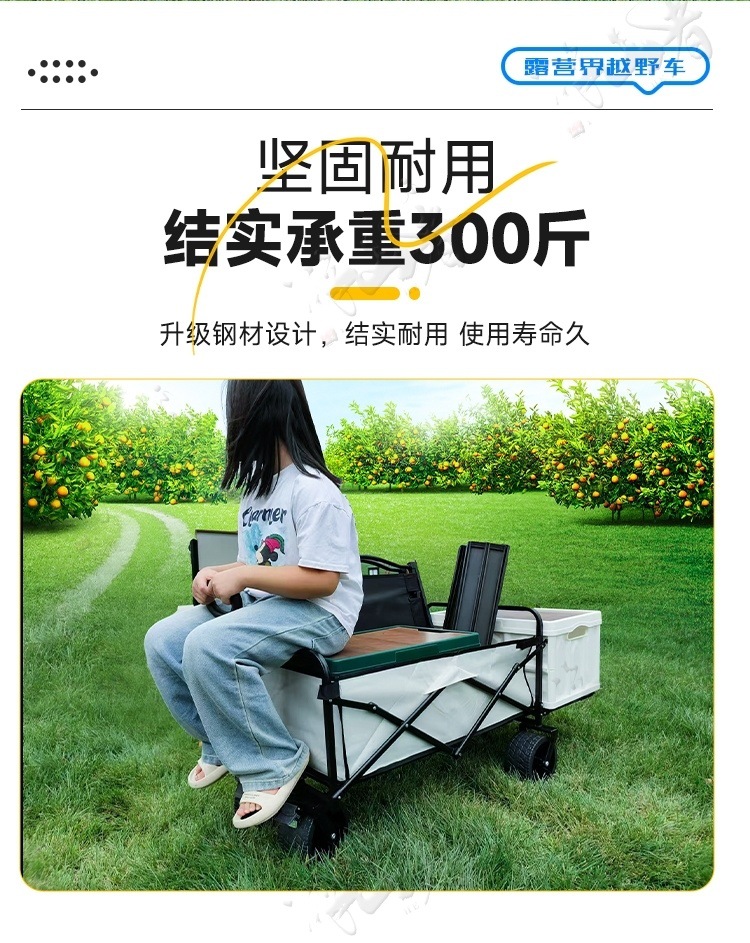 34e4e465-f285-4734-baf6-7b371ae77614.jpe