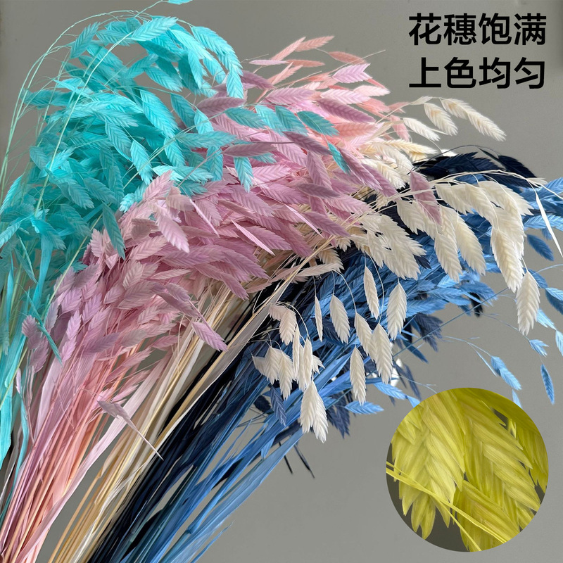 Eternal life small hope grass wind grass dried flowers bouquet diy wedding supplies ins Tanabata decoration Yunnan cross-border wholesale