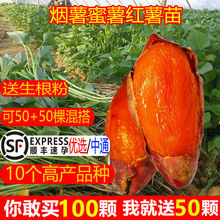 �߮a������N��������25�t���N������ɽ����t�ĵع����緬������