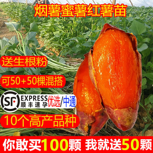 �߮a������N��������25�t���N������ɽ����t�ĵع����緬������