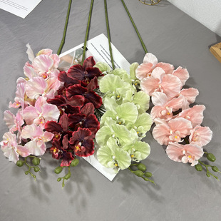 3D�����m��Y���bҾ��b�������m�ٻ������͏d�Ҿ��b����l
