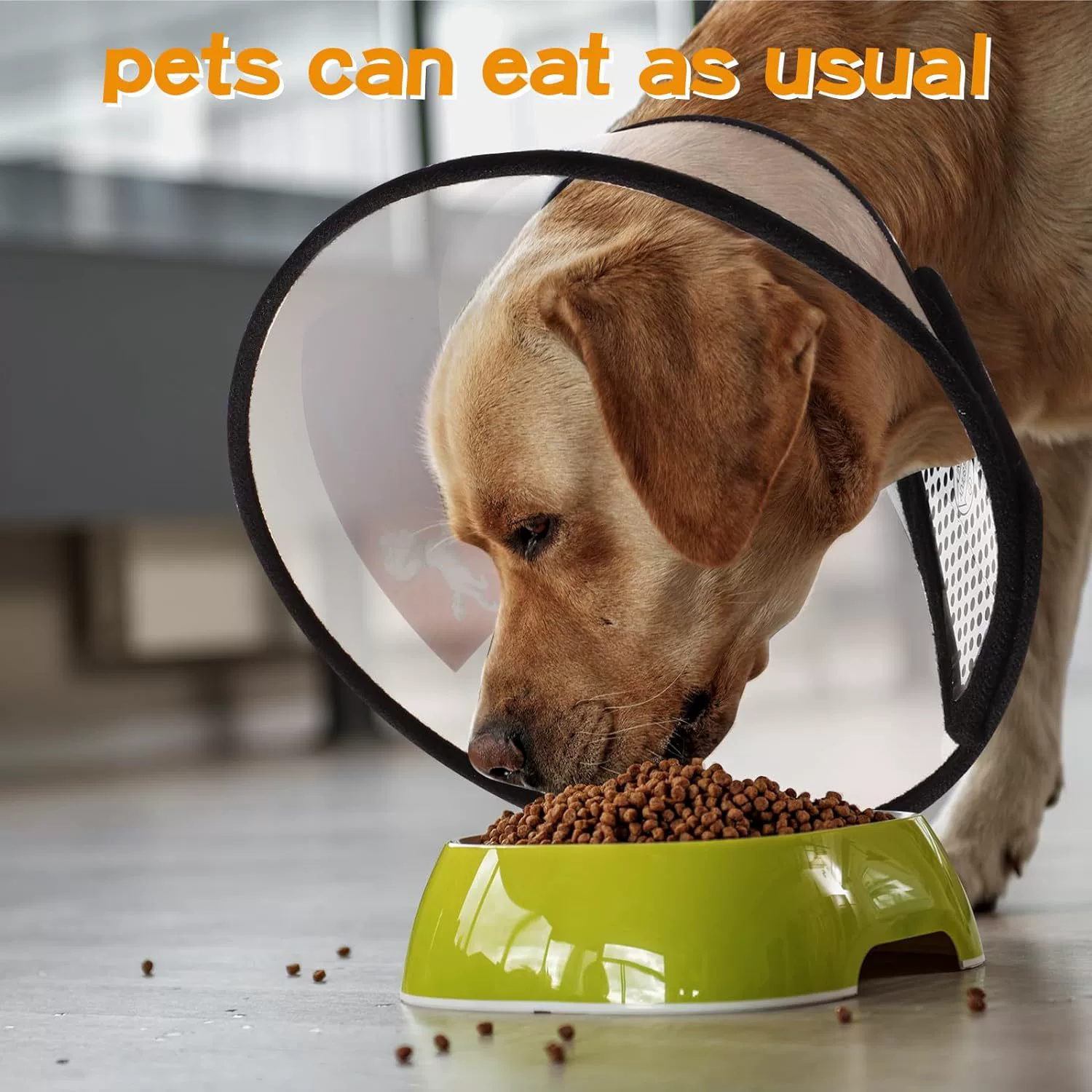 Elizabeth Circle Кошка Собака Ошейник против зализывания