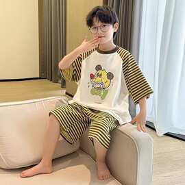 男童夏装休闲睡衣2026新款夏季中大童夏款儿童薄款两件套家居服