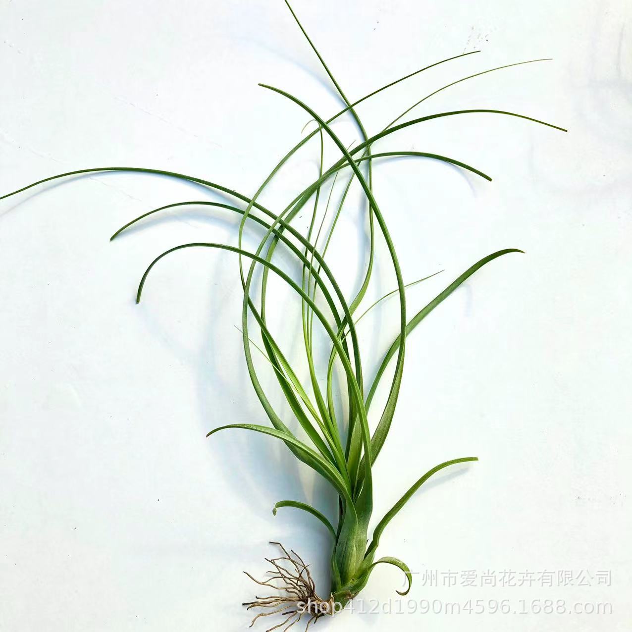 微信图片_20221106134253