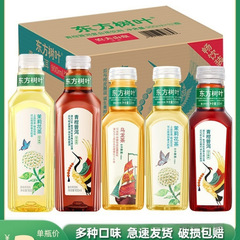 东方树叶饮料整箱茉莉花茶青柑普洱黑乌龙茶红茶绿茶批发