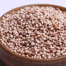 新米粘高粱米1斤-5斤 東北農家自種去皮黏糯高粱米 散裝紅高粱米