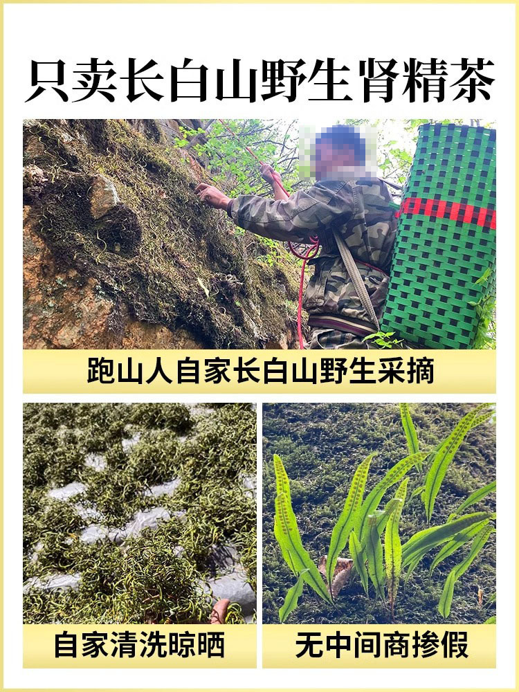 Shen Jing Cao Herbal Tea Wild Small Leaf 500g Men's Wellness Tea overview