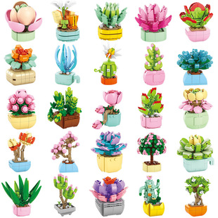 ֵ܃ͯƴbeľģ߼ݘŮƴDõ