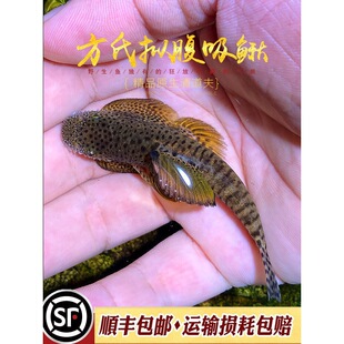 ���ϔM�����q�~ԭ����ˮ������ͺ��L͡�p�����ҳ����~���w�����~