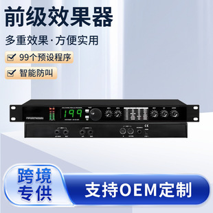 Cross-border Source MIC4 Effect Guitar Electro-sound Stage Professional Stage DSP199 Effect Bar Wedding Performance