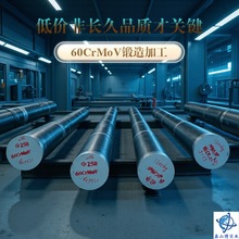 F؛60CrMoVA䓰ģCr12MoVD4Cr5MoSiV1ֶ֧