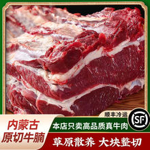内蒙古原切牛腩肉新鲜正宗黄牛肉10斤批发牛腿生肉冷冻商用2.5斤
