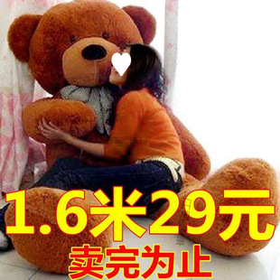 ����ë�q�����1.8�״�̖����2�ײ�����������Ů�ѱ���Ů����