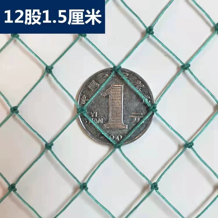 Сеть для разведения Хуа Мао, зеленая сетка, сетка для ограждения, утолщенная рыболовная сеть с мелкими отверстиями, сетка для кур, забор, сетка для защиты от птиц, нейлоновая сетка, сетка для настольного тенниса