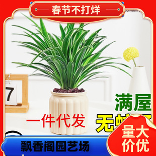 һ�����l��߅���mˮ��ֲ������x�҃��k��������ˮ�B�Gֲ���Ľ�z