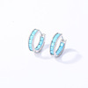 Zirconium, earrings, fashionable advanced small design accessory, light luxury style, bright catchy style