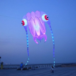 Weifang Luminous Kite Soft Octopus Goldfish Jellyfish Trilobite Kite Cross-Border Foreign Trade Amazon Lighted Kite