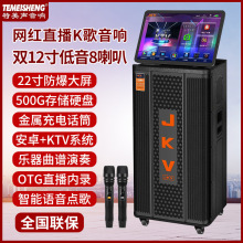 家用户外便携广场舞音箱移动点歌带显示屏幕网红直播K歌蓝牙音响