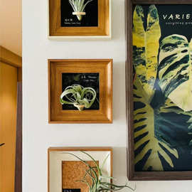 空气凤梨装饰画立体复古小尺寸相框创意沙发墙面组合挂画乔迁
