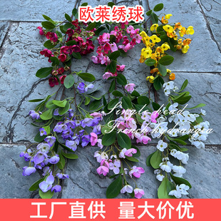 �¿��c���滨���Q�S�� �W�R���� �tɫ���Ļ���Y�bٻ����l