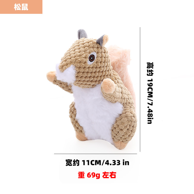 다크 브라운 다람쥐