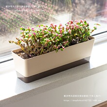 多肉花盆长条型窄边细长窗台种植塑料阳台花盘花槽盆栽家用