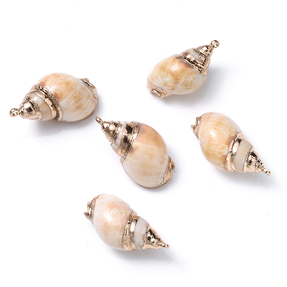 5 PCS/Package Shell Conch Shell Pendant display picture 1
